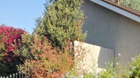 Julio Peralta con su hija Olga Margarita Peralta. (Cortesía Orbach News)