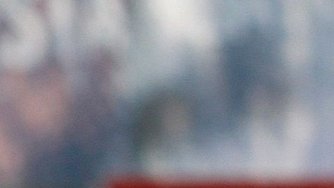 La Volpe apoya a sus nietos en el fútbol.