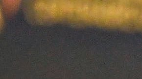 Layún era uno de los consentidos del colombiano.