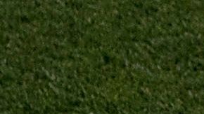 'Chucky' fue el autor del gol ante Alemania.