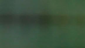 El Tri volvería a la actividad hasta el 2021.