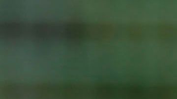 El Tri volvería a la actividad hasta el 2021.