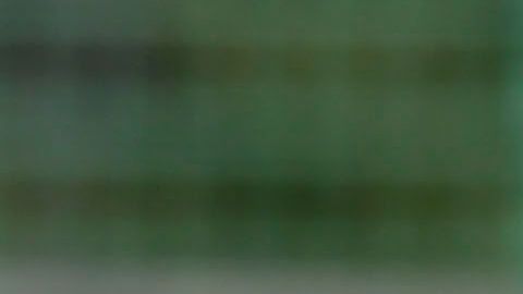 El Tri volvería a la actividad hasta el 2021.