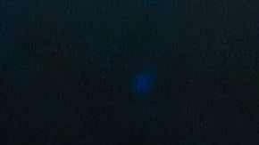 Gennady Golovkin y Saúl "Canelo" Álvarez