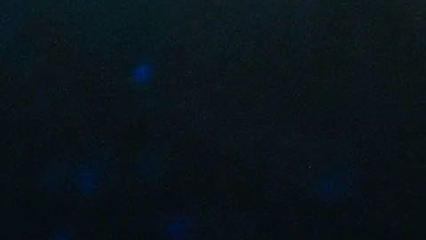 Gennady Golovkin y Saúl "Canelo" Álvarez