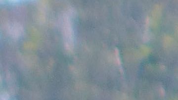 Las jugadoras se conocieron en el equipo.