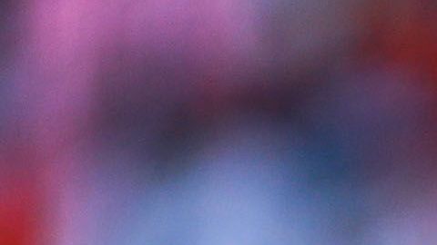 Francisco Palencia, director técnico de Mazatlán FC.