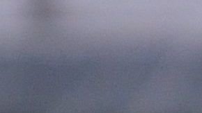 Muñoz llegó al América en 2019.