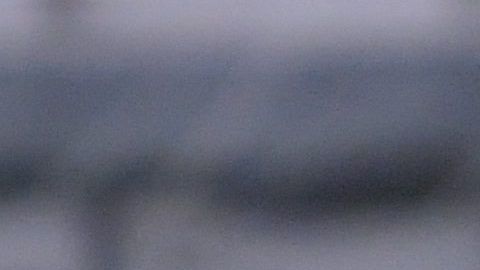 Muñoz llegó al América en 2019.