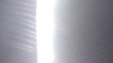 César "Cachorro" Montes