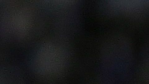 Carlos Salcedo en un partido con Tigres.