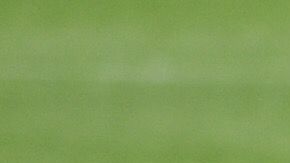 El Apertura 2020 podría arrancar el 17 de julio.