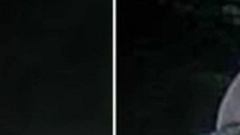 Ismael "el Mayo" Zambada