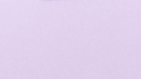 Justin Bieber tuvo un mono capuchino como efímera mascota.