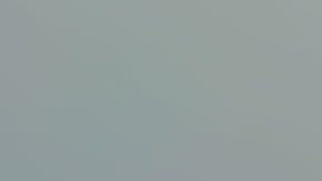 Lisa Smith, de 31 años, fue arrestada el martes en la ciudad de Aventura.