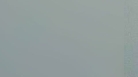 Lisa Smith, de 31 años, fue arrestada el martes en la ciudad de Aventura.