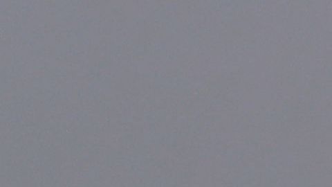 Los duques de Cambridge, Catalina y Guillermo.