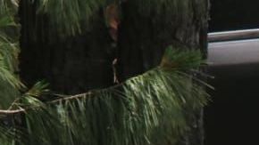 Matan a Andrés Arreola productor de Televisa y Estrella TV