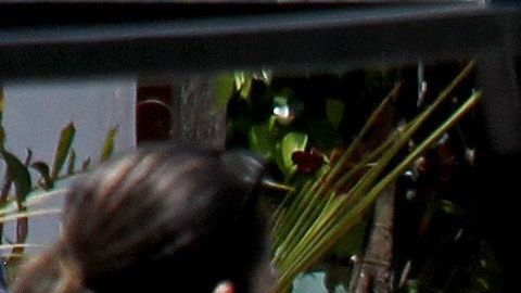 MEXICO-CRIME-VIOLENCE
EDITORS NOTE: Graphic content / A forensic expert works next to a corpse after an armed group attacked two houses killing nine people and leaving one wounded, at the Lopez Portillo neighborhood in Guadalajara, Jalisco state, Mexico on May 3, 2020. (Photo by ULISES RUIZ / AFP) / GRAPHIC CONTENT (Photo by ULISES RUIZ/AFP via Getty Images)