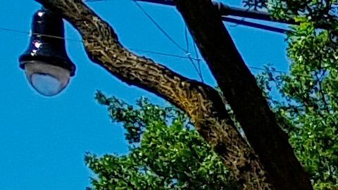 Una persona camina frente a negocios cerrados pese a reapertura, este lunes en la quinta Avenida.