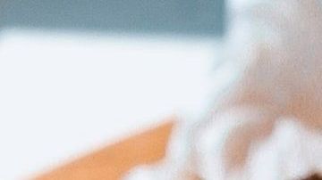 Nastasya Day en Pexels-batata