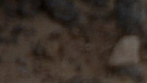 Foto: 2724477/Pixabay. Cuando el problema de agresión ya es agudo es mejor acudir con un experto.