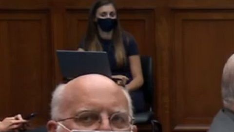 Parte del Equipo Especial de la Casa Blanca contra la pandemia de coronavirus en audiencia en la Cámara.