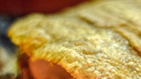 Patacon_de_Maracaibo- plátano frito-Gabriel Miguel Gutiérrez Valenzuela-commons