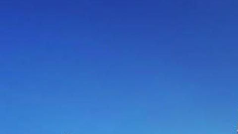 Sandra Guzmán en una visita a Disney World.