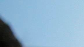 El vandalismo ha crecido en medio de la crisis.