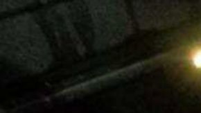 mono araña contrabando