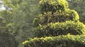 Cientos de personas salieron de sus casas y oficinas.