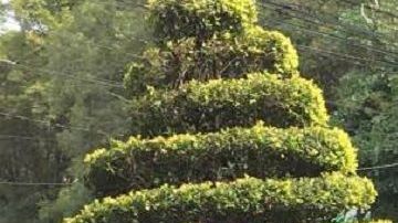 Cientos de personas salieron de sus casas y oficinas.