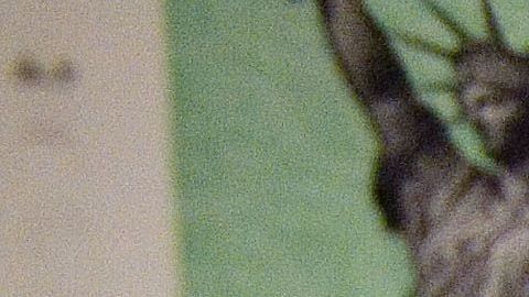 El presidente quiere enviar otro paquete de ayuda económica.