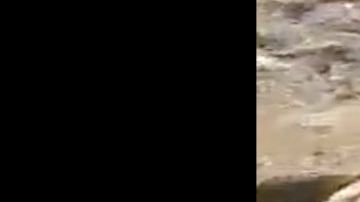 VIDEO: Los Chapitos regaron los cuerpos de 10 de sus víctimas cerca de frontera con EE.UU.