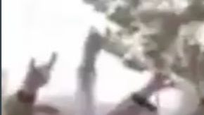 VIDEO: Mafia de Turquía anuncia asociación con el Mayo Zambada y el Cártel de Sinaloa