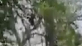 VIDEO: Narcos tablean brutalmente a taxistas, así los obligan a reportarles todo lo que ven