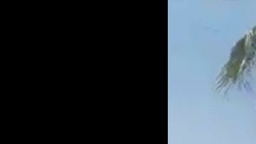 VIDEO: Pelea de sicarios de los Chapitos contra los del Mayo Zambada se extiende en Culiacán