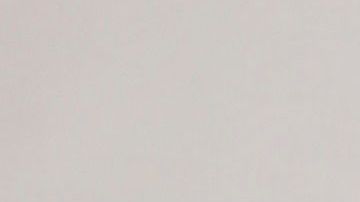 Trump con la biblia al frente de la Iglesia.