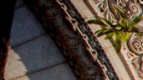 Algunos manifestantes acudieron al Hotel Internacional Trump ante la imposibilidad de acercarse a la Casa Blanca.