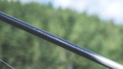 Su día de pesca fue algo inusual.