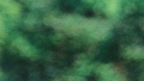 Adamari López y Héctor Sandarti en 'Un nuevo día'.