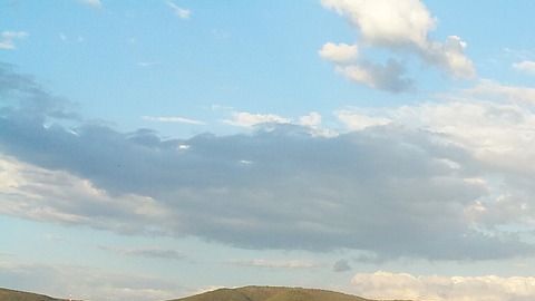 Agave-German Lopez en Pixabay