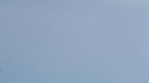 Se ha hallado material del virus de gripe aviar H5N1 en vacas lecheras.