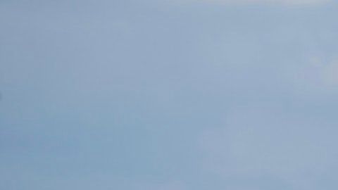 Se ha hallado material del virus de gripe aviar H5N1 en vacas lecheras.