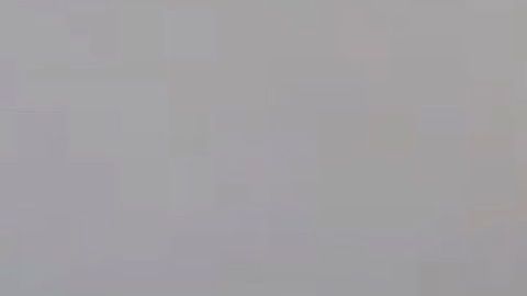 El alcalde de Miami Francis Suárez en una captura de video publicado en redes sociales.