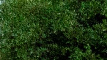 La Casa Blanca ha impulsado retomar la actividad económica, pese a los datos.