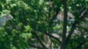 Trump en West Point