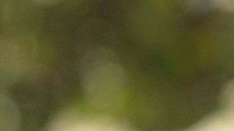 Detalle de una cruz en el cementerio de Campo da Esperança, en Brasilia.