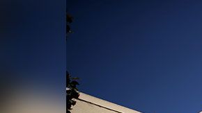 La tienda limitará su capacidad al 25%.